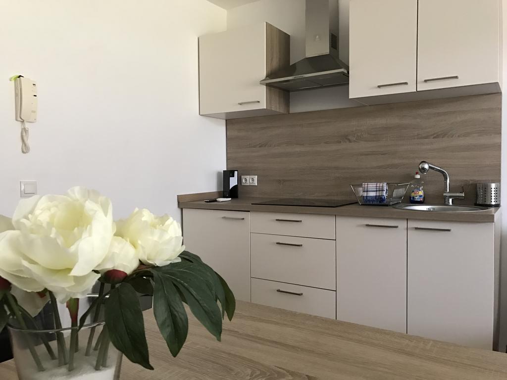 Apartmán Apartmaji Manita Moravske Toplice Exteriér fotografie